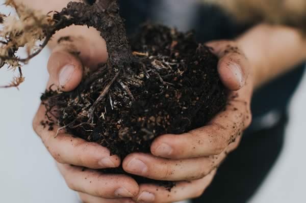 Easy Sheet Compost