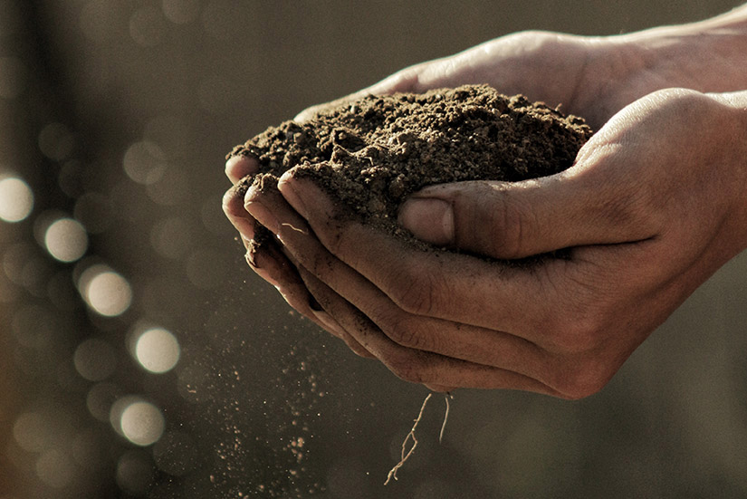 Hands holding dirt