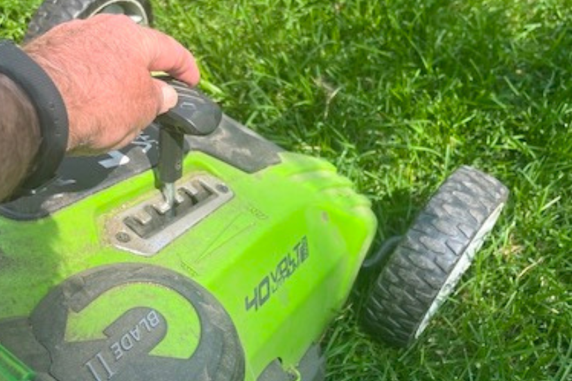 the last mow of fall