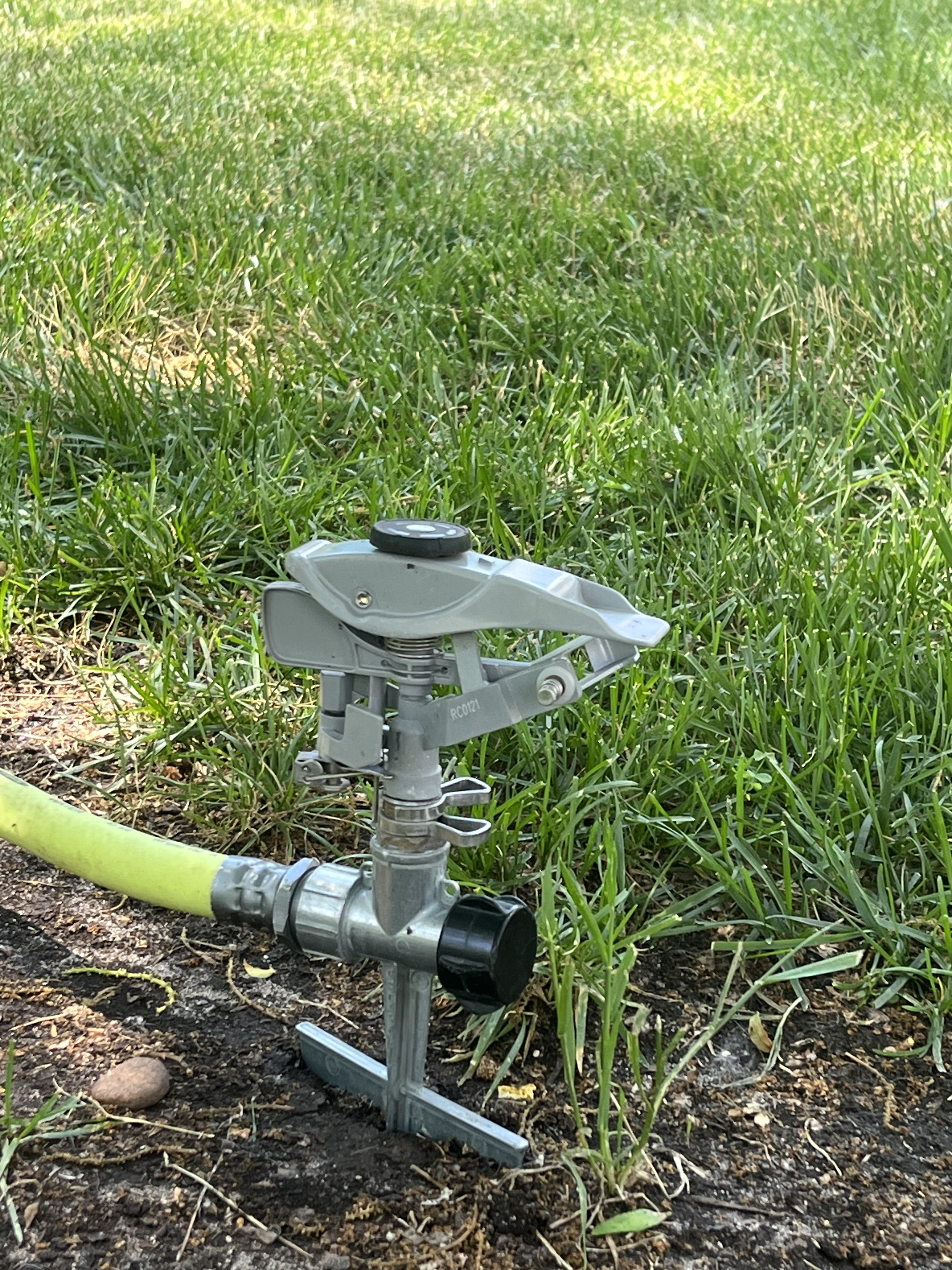 Tips for Watering and Maintaining Lawns During Drought